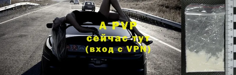 shop как зайти  hydra зеркало  Белозерск  A PVP крисы CK 